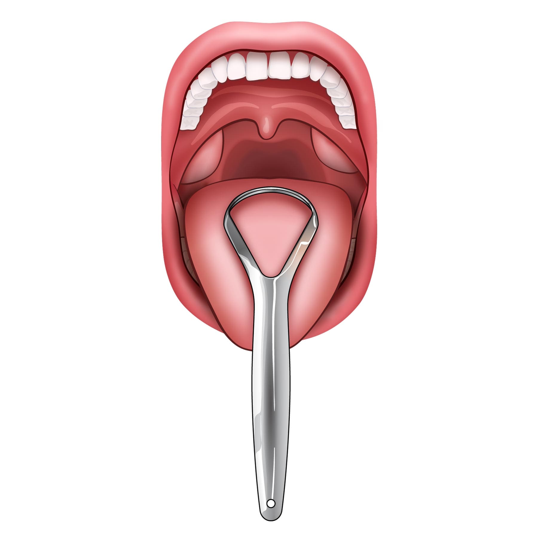 Step 3 Place your tongue scraper on your tongue