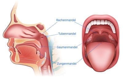 Diabetes und Mundgesundheit: Tipps zur Blutzuckerkontrolle